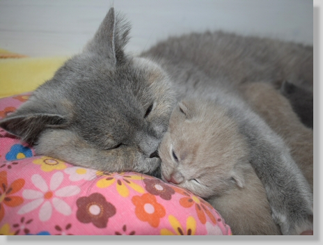 Mama Kaya und Piccolino Peppino 