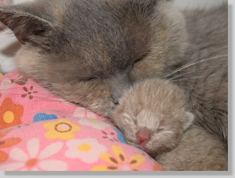 Ronny mit seiner Mama Kaya