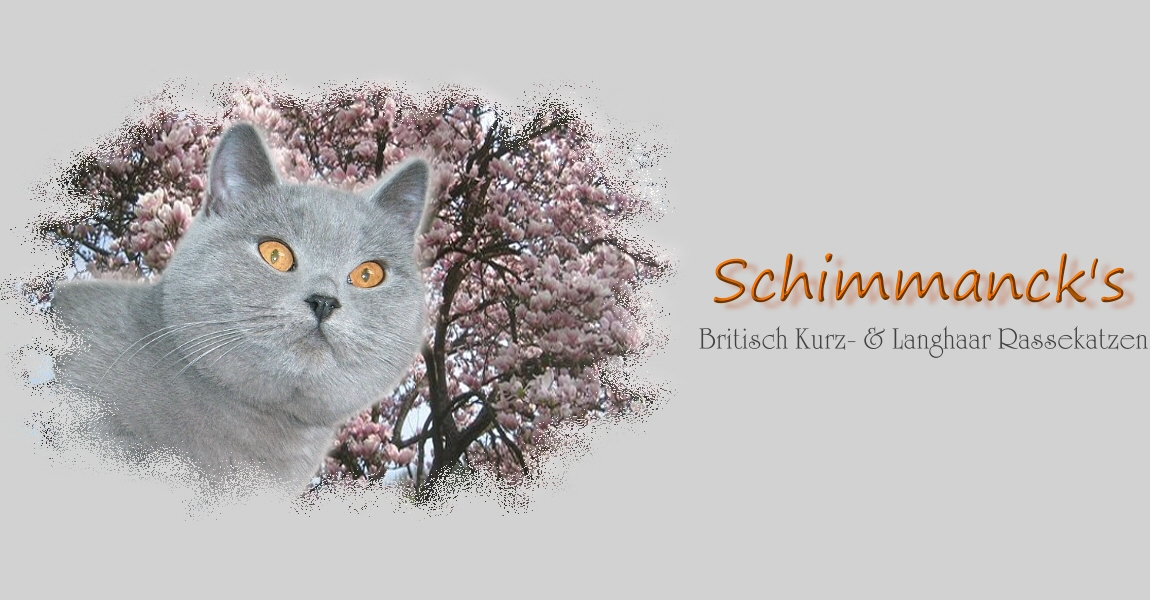 Hereinspaziert ... 